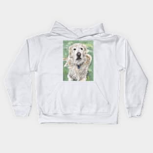 Golden Retriever Sitting on the Grass Kids Hoodie